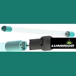 Luminor Lamp to suit LBH4-251, LBH5-251, LBH6-251, and all 230V models